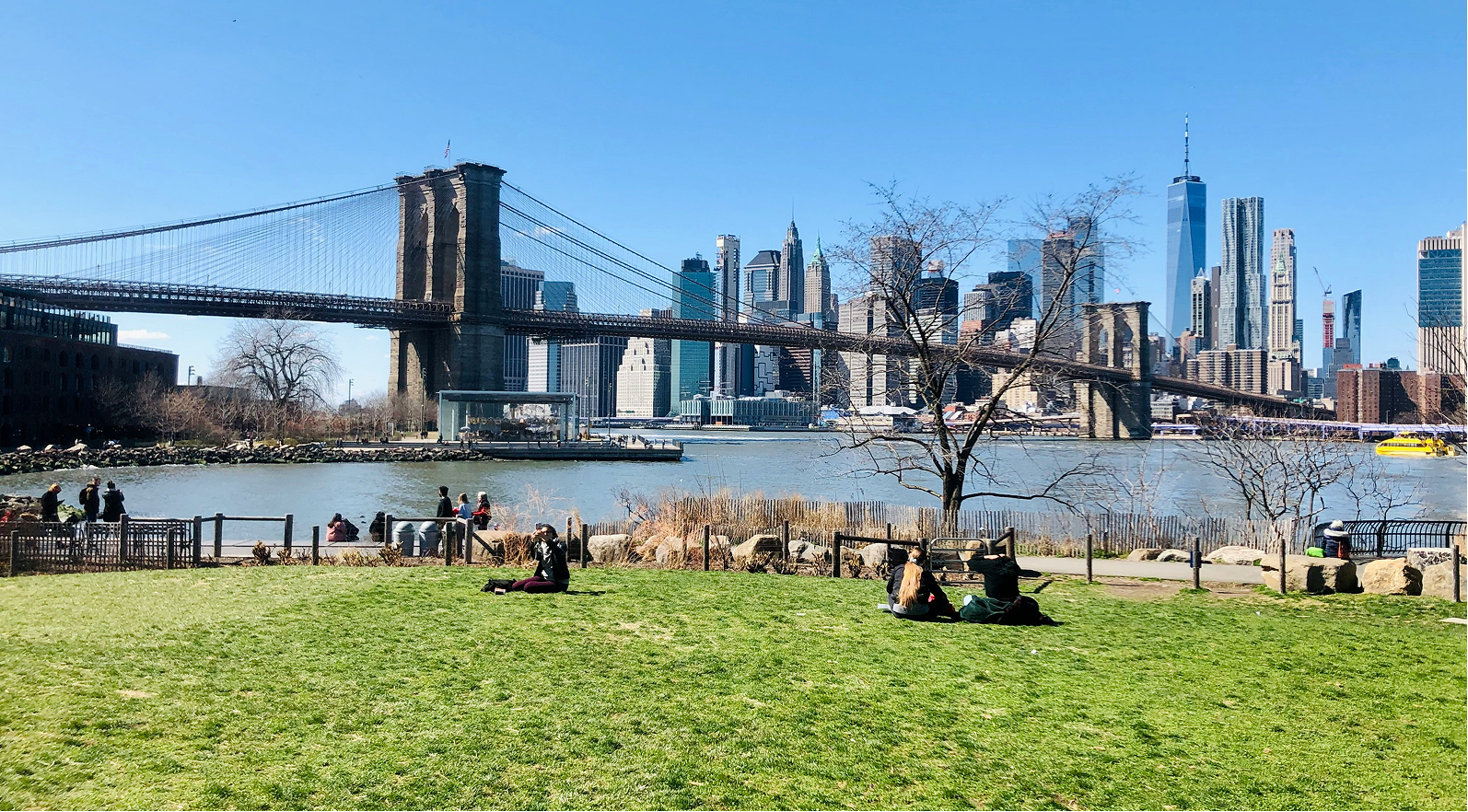 111 Willoughby Brooklyn Bridge Park